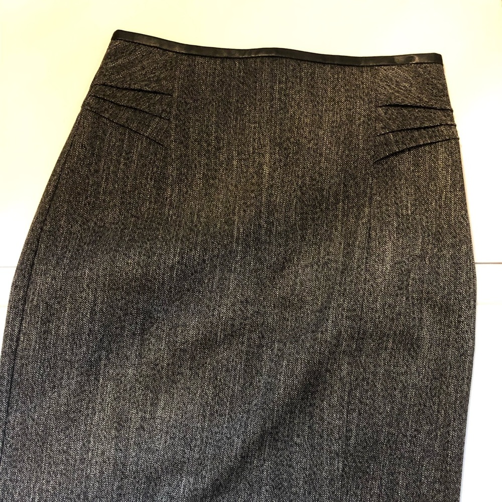 Express dress skirt